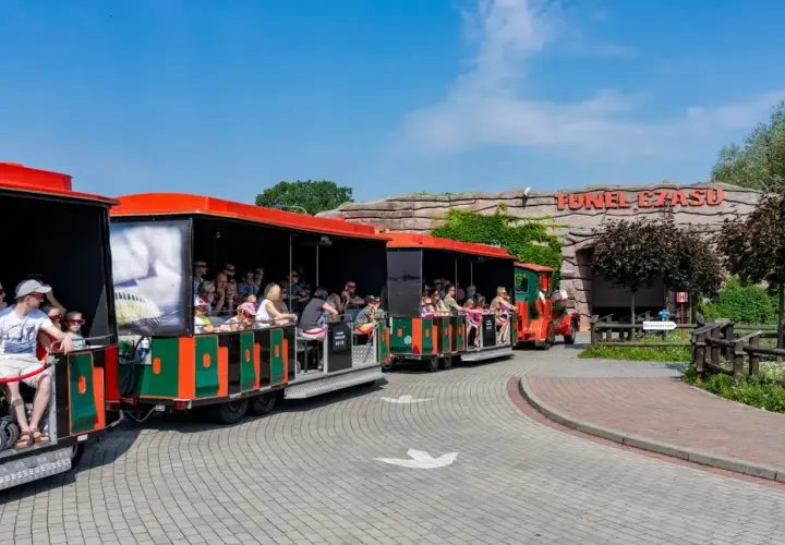 Pociąg z pasażerami wjeżdża do Tunelu Czasu w Krasiejów Park.