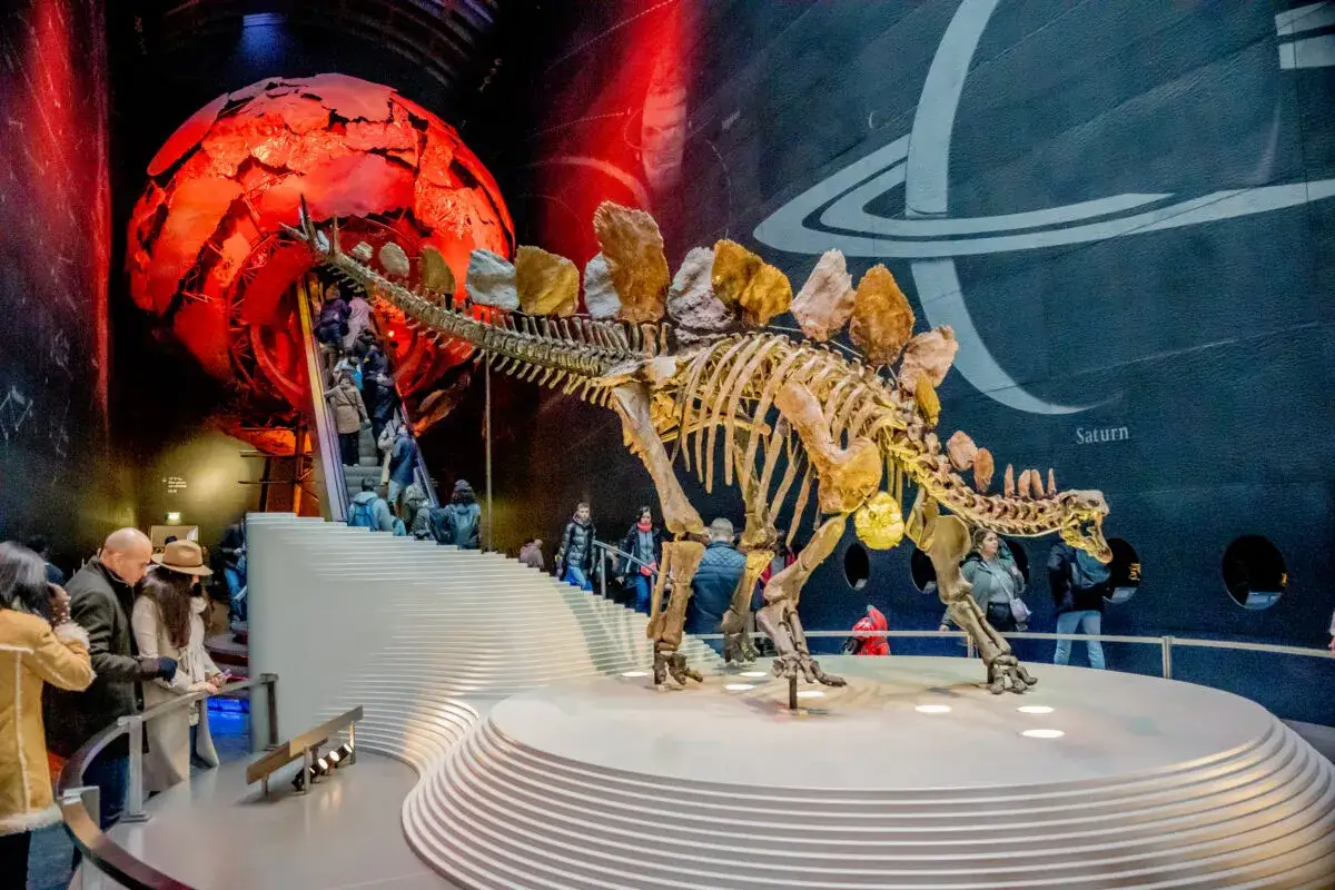 Szkielet dinozaura w muzeum, schody ruchome i czerwona kula – idealne atrakcje dla dzieci w Londynie.